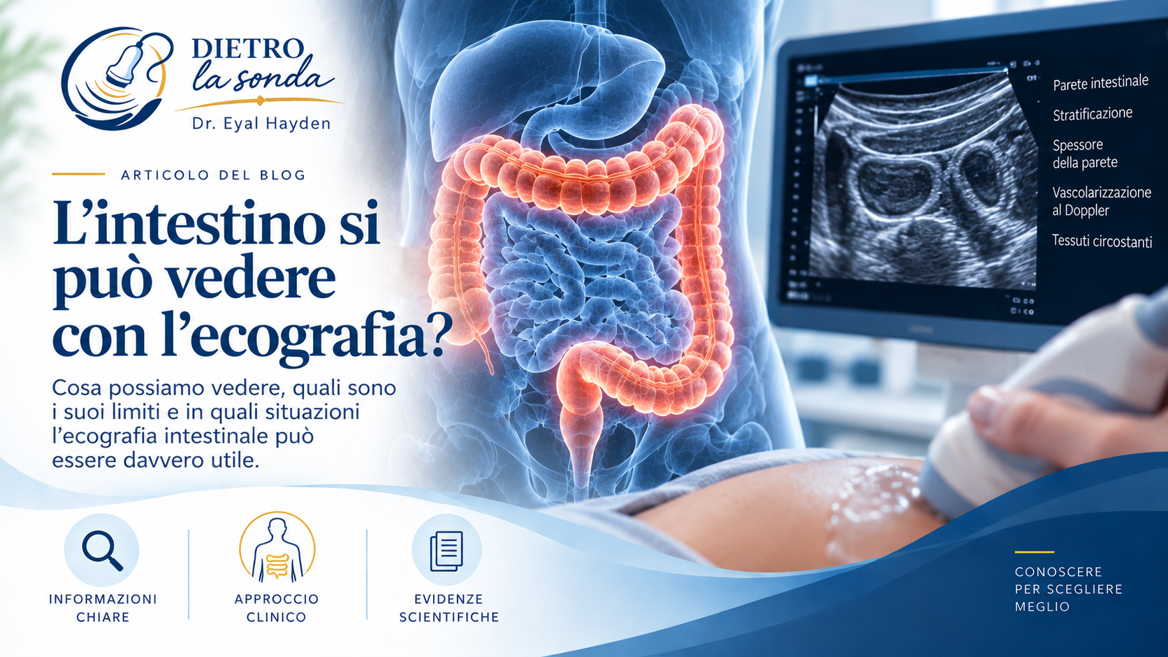 Ecografia intestinale: anatomia, sonda e immagine ecografica